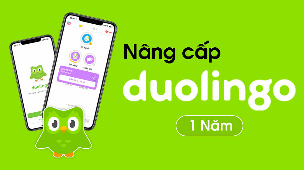 Nâng cấp Duolingo Plus 1 Năm